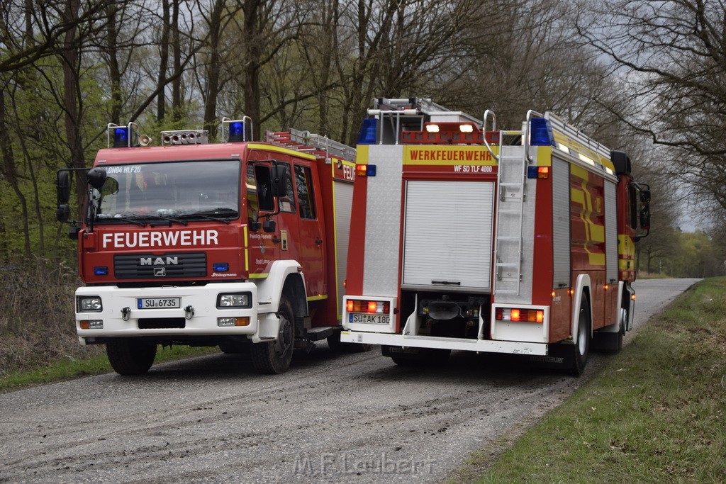 Waldbrand Wahner Heide Troisdorf Eisenweg P371.JPG - Miklos Laubert